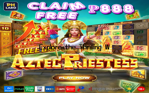 Explore the Thrilling World of Online Gaming Entertainment